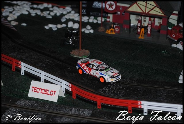 Benefico 2011 (3) 184