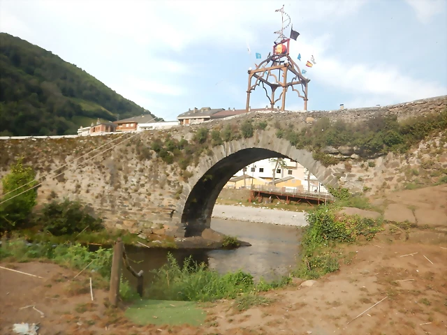 DSCN8884