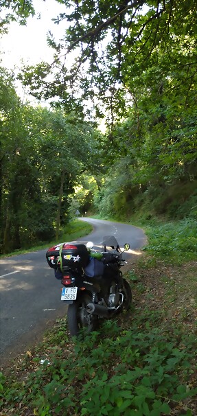 IMG_20220809_184137 IMG_20220809_184137