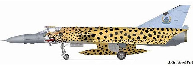 cheetah-c4