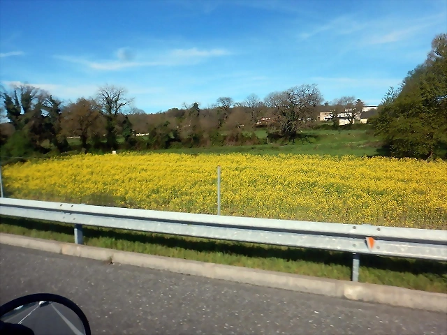 DSCN1784 DSCN1784