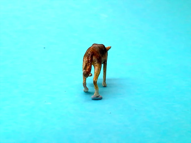 20180507_185340 20180507_185340