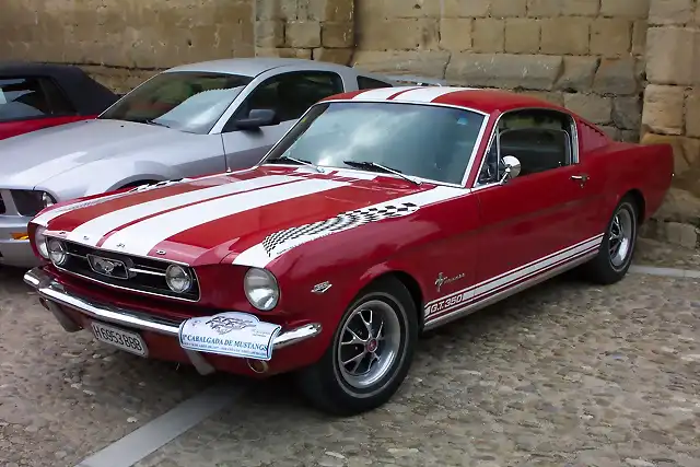 mustang 055