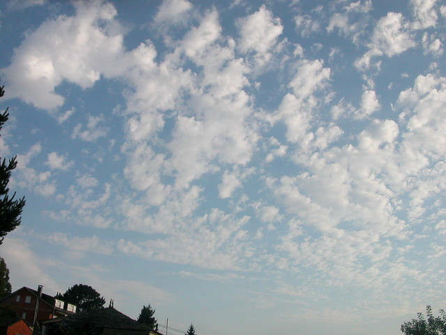DSCN3353 DSCN3353
