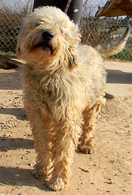 DSCN2291 DSCN2291
