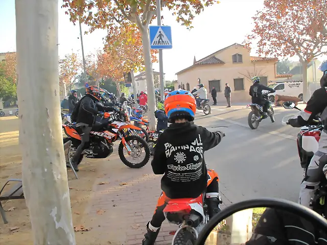 IMG_1651 IMG_1651