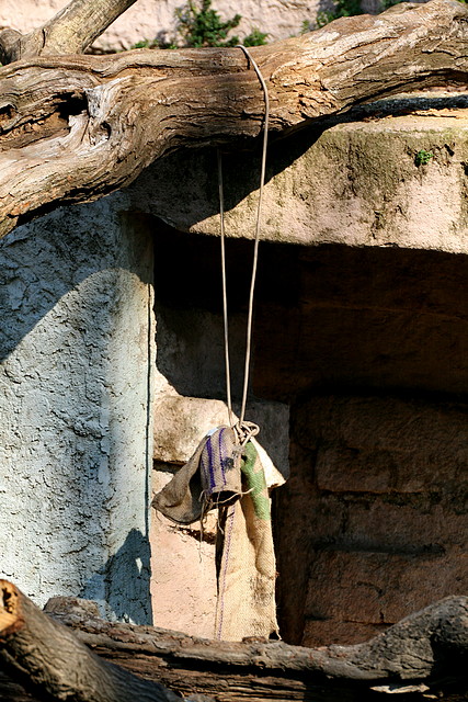 Zoo de Barcelona 23-01-11 759 Zoo de Barcelona 23-01-11 759