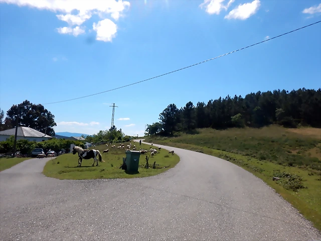 DSCN3159 DSCN3159