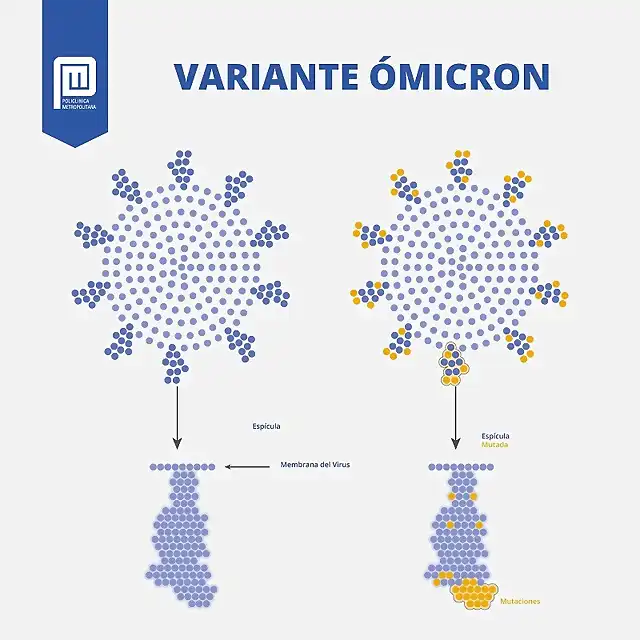 PCM_-variante-Omicron-1