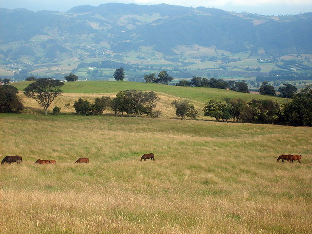 Linda y fertil tierra