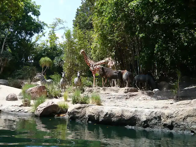 Jungle Cruise