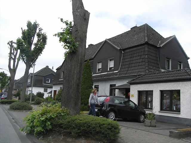 R0013441 R0013441