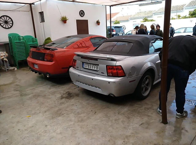 Mustang gris 3