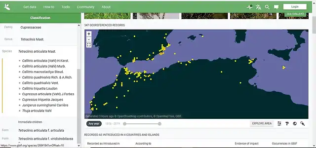 distribuci?n Tetraclinis marruecos 1