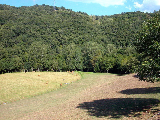 Via XIX 040 Via XIX 040