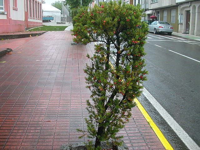 DSCN4481 DSCN4481