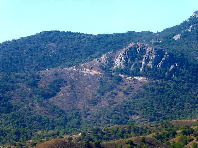 la muela zona quemada