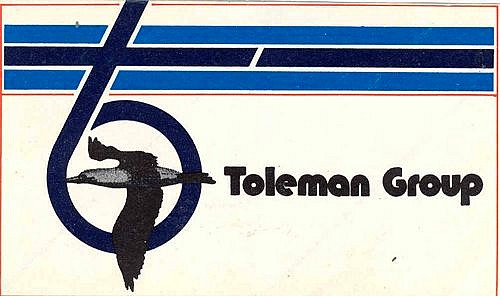 unbranded-toleman-group-logo-sticker-13cm-x-7cm-