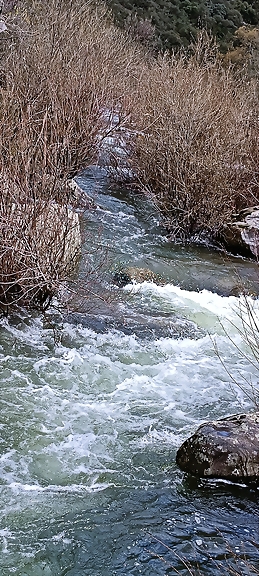 1744280718542