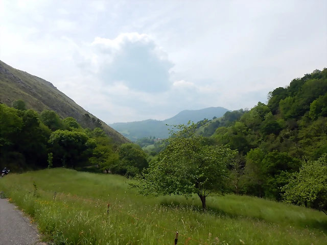 DSCN0223 DSCN0223