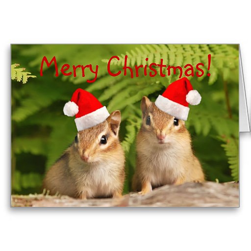 merry_christmas_santa_chipmunks_card-rd6a45c30012242e1809fb3198a14c10b_xvuak_8byvr_512