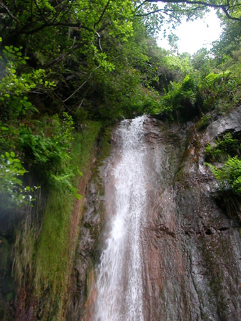 DSCN2227 DSCN2227