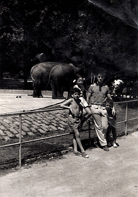 zooBCN1970 copia