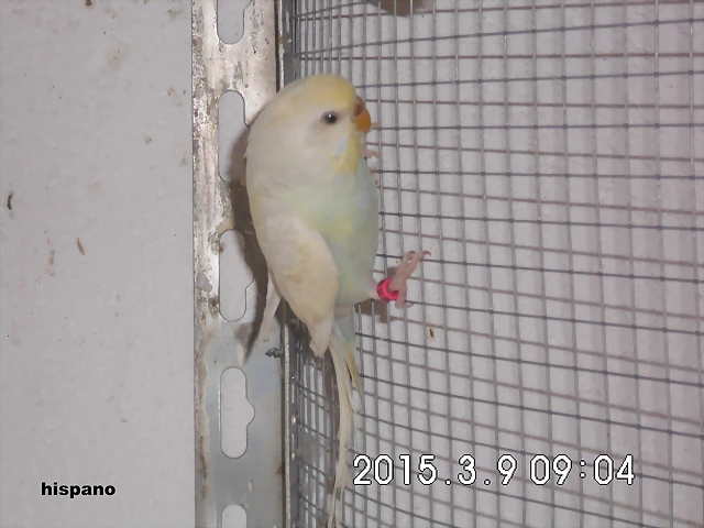 CIMG0852 CIMG0852