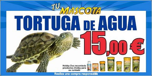 tortuga agua