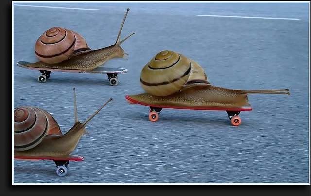 foto caragols patinant foto caragols patinant