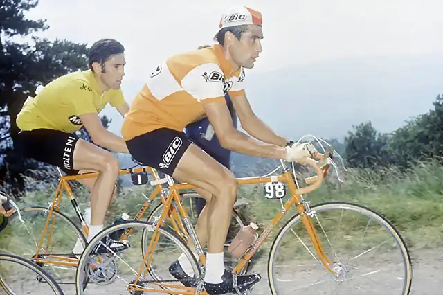 ocana-merckx-tour-920