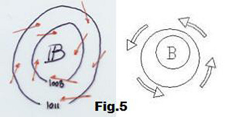 Fig.5