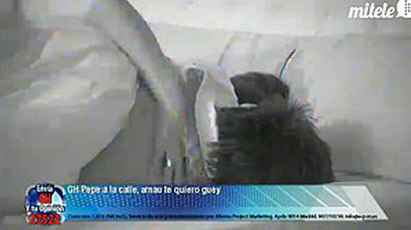 Gala 9 abril 217bis