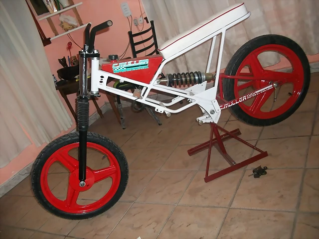 tomando forma tomando forma