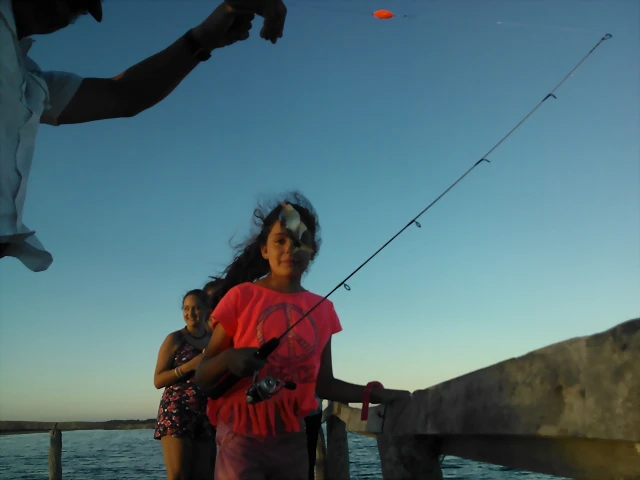 WP_000164 WP_000164