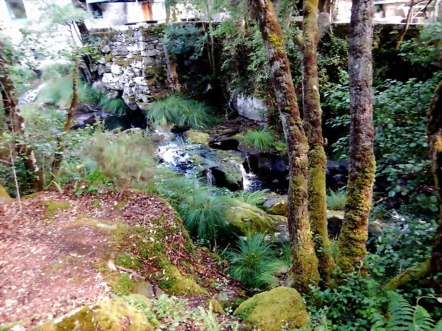 DSCN8424 DSCN8424