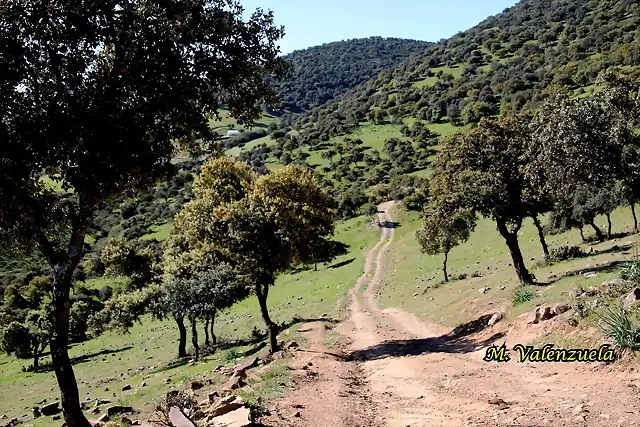 14, por el camino, marca