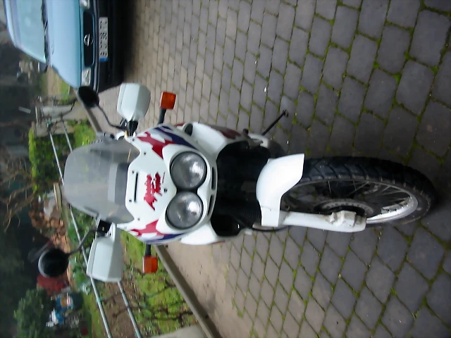 IMG_4189 IMG_4189