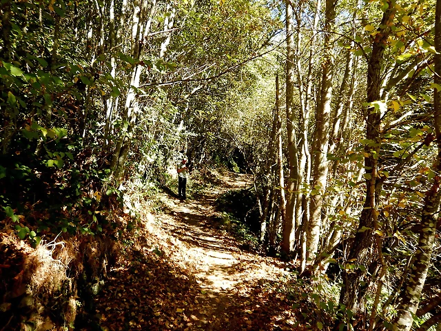 DSCN7855 DSCN7855