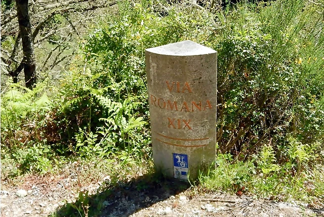 DSCN0015 DSCN0015