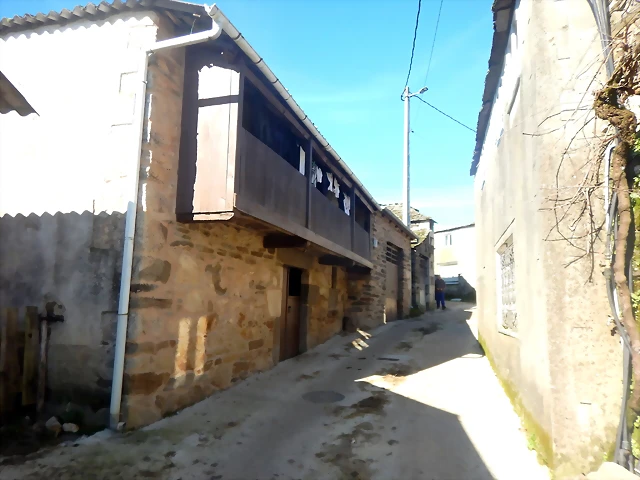 DSCN2517 DSCN2517