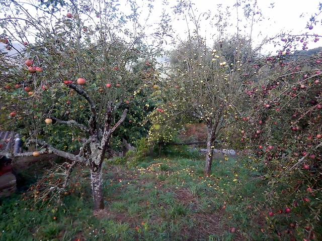DSCN1180 DSCN1180
