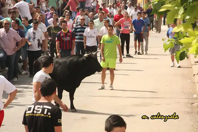 13, en la avenida 2, marca