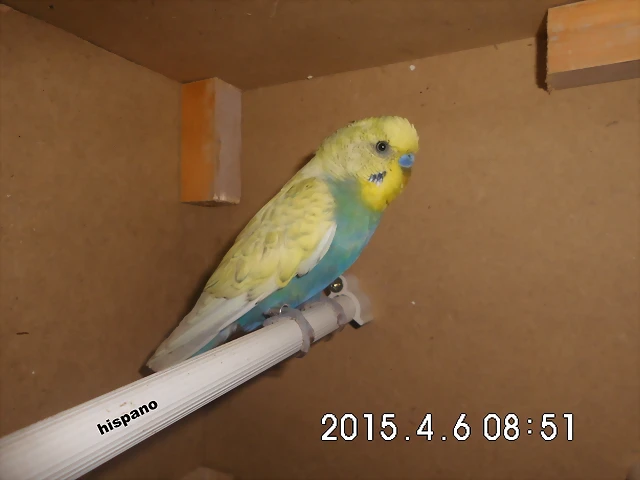 CIMG0954 CIMG0954