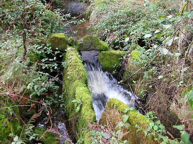DSCN5761 DSCN5761