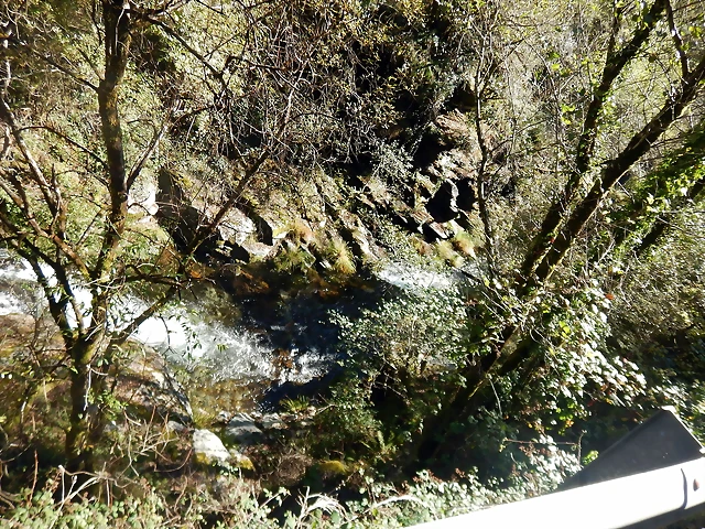 DSCN0227 DSCN0227