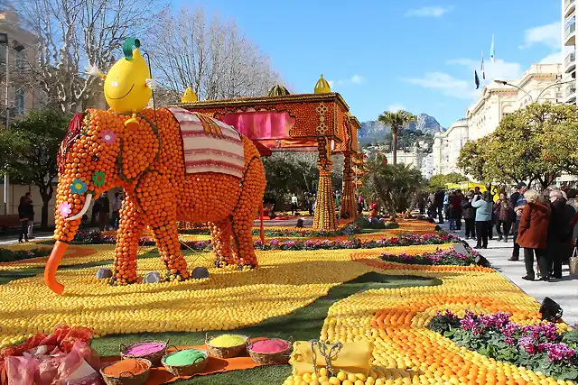 Menton-Citron-2013-065