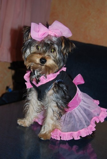 Chanel!!