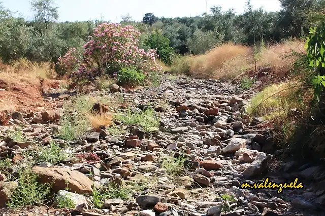 07, arroyo seco, marca