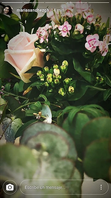 Mar?a IG Stories 13-4-2018 (4) Mar?a IG Stories 13-4-2018 (4)